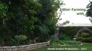 Mini Farming by Deneb Sumbul
