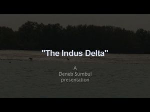The Indus Delta by Deneb Sumbul